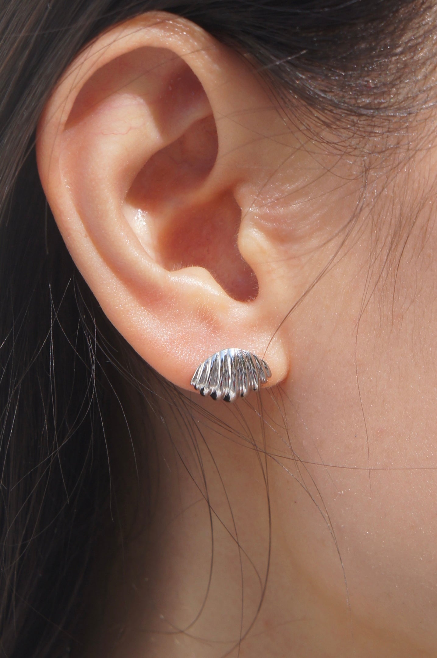 Shell Stud Earrings